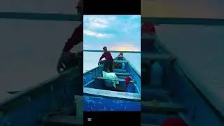 MANJESHWAR HARBOUR #fishing #reeflife #fish #jigging #fishingtips #boat #boating