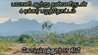 V1/99:(SOLD) BHAVANI RIVER WATER 4 ACRES FRUITS PLANTATION | V1 Realty's +919843710234