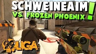 CS:GO - SCHWEINEAIM vs. Frozen Phoenix - 99Damage Division 4.20 Spiel #01