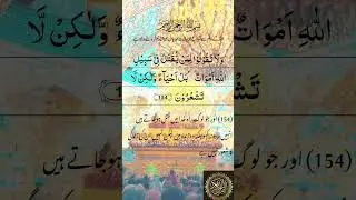 कत्ल #qatl #raahekhuda #qurantarjumaurdu #qurantranslation #reels #islam #quran #ayat