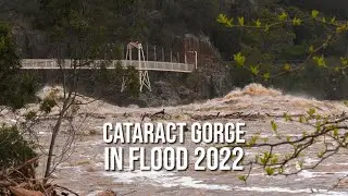 Cataract Gorge in flood 2022