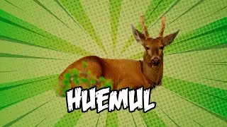 Huemul | Animales chilenos superasombrosos - T2E11