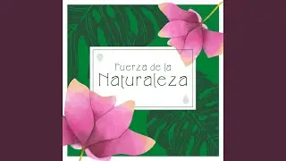 Bosque Antiguo