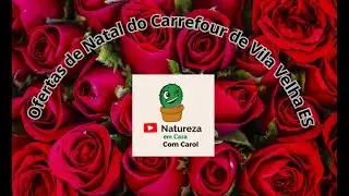 Ofertas de plantas do Carrefour de Vila Velha ES do dia 20 de Dezembro!