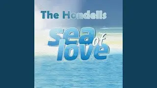 Hon-da Beach Party