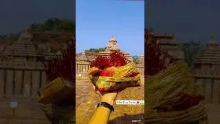 All Odisha tours//Digha, pradeep port Bhubaneswar, Puri, Konark etc....