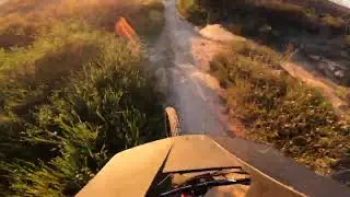 Laguna Beach MTB Telonics
