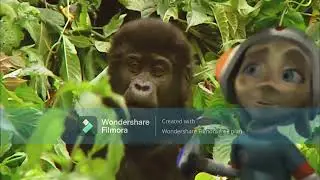 New Animal Show  kids will love 