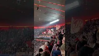 Ultras Bayern x Cologne 🤯🔥 #fcbayern #fck&ouml;ln #allianzarena #bundesliga #footballfans