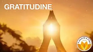 La gratitudine &egrave; un superpotere? Da Greg Reese
