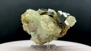 FERBERITE, FLUORAPATITE, SIDERITE, PYRITE, MUSCOVITE 1P201