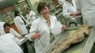 Nadege&rsquo;s study schedule: BVM&S Veterinary Medicine | The University of Edinburgh