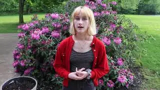 Carrie at the Ashtabula Arts Center