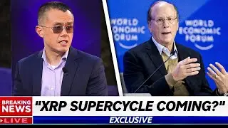 CZ PREDICTS 
