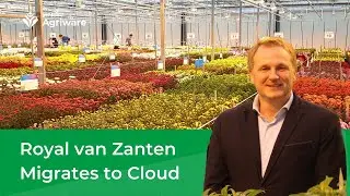 Royal van Zanten streamlines business with Agriware 365 software