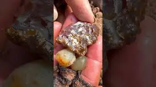 Finding Natural Carnelian And Agate Gemstones At The Mountain #mining #quartz #crystals #gemstone