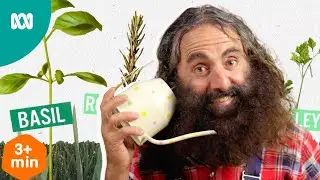 The difference between a herb and spice | Gardening Australia Junior