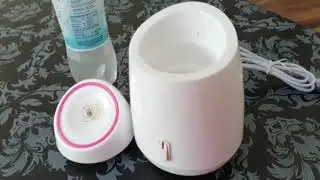 Fruit Vegetable Electronic Skin Facial Face Steaming Device / Face Sauna Spa ~ AliExpress