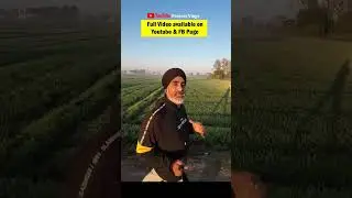 Nasha Amli and Pind #babbupanesar #punjab