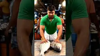Fresh fish 🐟 Fish WhatsApp status video 🐬🐟🐠 #fishing #fishinglife #fish