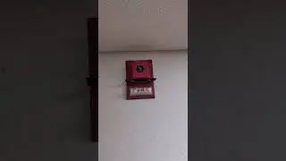 Rustic, Simplex Fire Alarm Bell w/ Strobe Going Off*