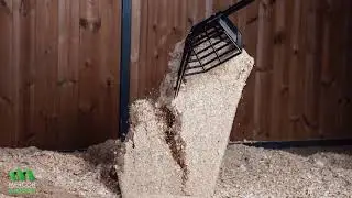 Mercor Shavings Gold Star Wood Shavings