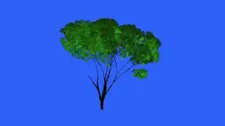 Free Green screen tree -  maytham hashem