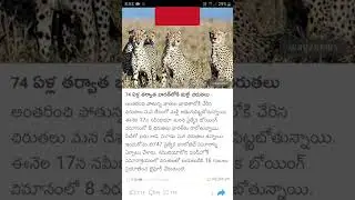 Chirutha puli || FAST V6 NEWS Telangana