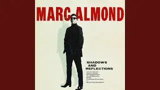 Shadows and Reflections