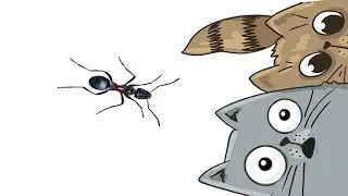 CAT GAMES | VIDEOS FOR CATS. Catch the Realistic Ant! |1 HOUR