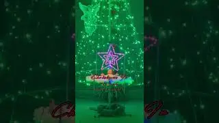 Christmas in Vasai Bolinj Church #christmas #christmasmusic #christmastree #vasailivenews
