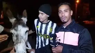 🚨مبــاشرة من اليوسفية : قطع لسان حمار و هو على قيد الحياة لاستعماله في أعمال الشعوذة وصاحبه