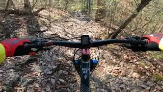 A Fall Day on Chubb Trail