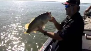 Zona's Awesome Fishing Show - James Overstreet Falcon Lake Big Bass
