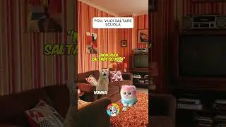 FUNNY ANIMALS #217: POV WHEN YOU WANT TO SKIP SCHOOL #shorts #memes