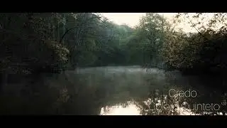 Credo (Visualizer) Coloro Quinteto