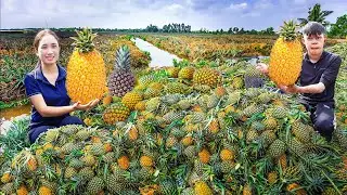 Harvesting Golden Pineapple Goes to the market sell - Fold Decorative Plastic Pineapple