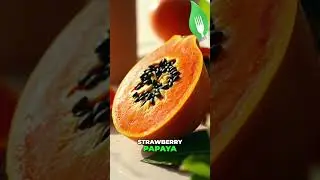 Knife Sharpening Secrets | Tomato & Paper Test Explained