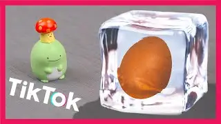 TikTok Frozen Egg 🥚