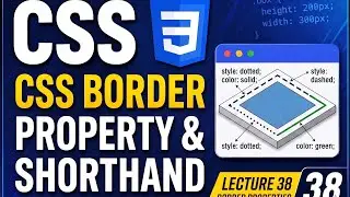 CSS Borders Tutorial: Style, Width, Color & Radius | Web Development Lecture 38
