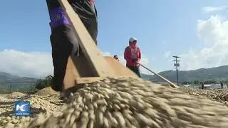 Nicaragua dispuesta a exportar caf&eacute; a China