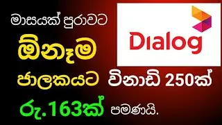 Dialog call packages | dialog anynet call packages | රු 163 කට ඕනම ජාලයකට ඇමතුම්