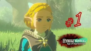 Arrival in ancient hyrule! | Hyrule Warriors: Age of Imprisonment | Switch 2 Playthrough | Part 1