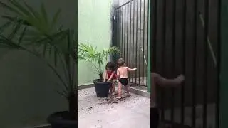 18 de novembro de 2019