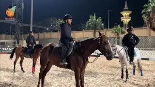 The world of horse riding and what makes it unique