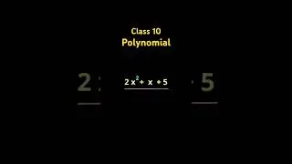 What is a Polynomial? | Easy Explanation for Class 9 & 10 Maths | Algebra Basics