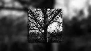 MOON S&Oslash;LSTICE - 'Impulse' (Official Audio)