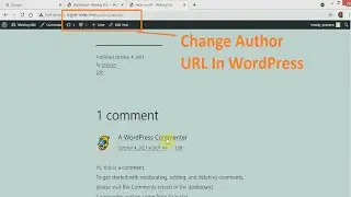 How To Change Author URL Slug In WordPress Website (Using Plugin)
