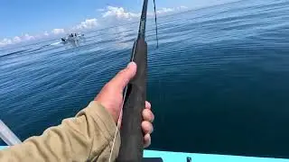 Fishing yellowtail Bahia De Los Angeles Joels sport fishing 09/25
