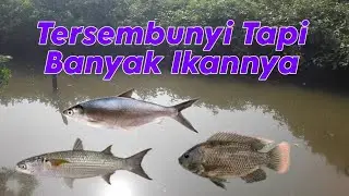 SPOT MANCING TERSEMBUNYI SURABAYA BARAT